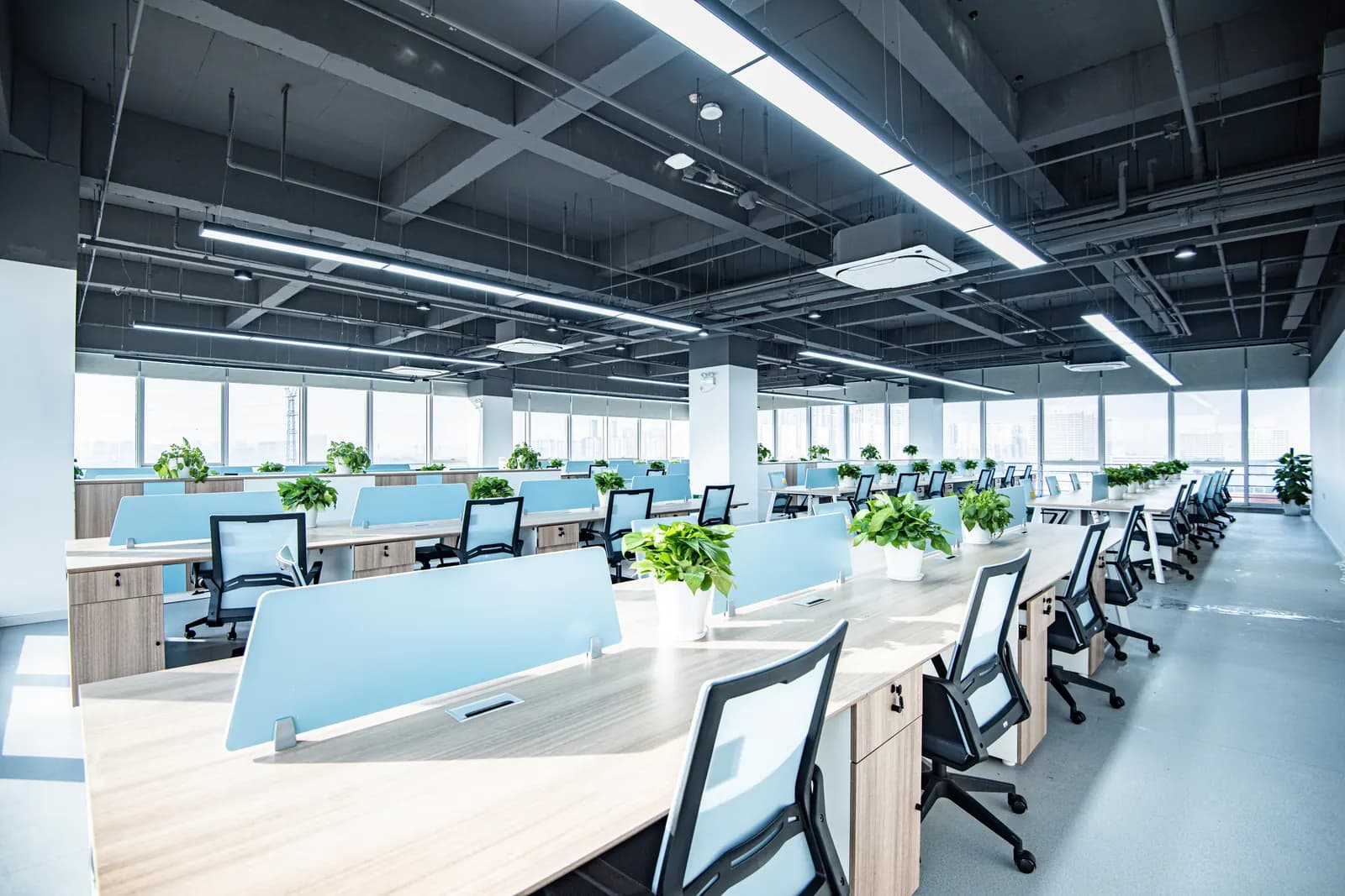 Garden-style open office at Chivox